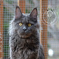 images/galerie-aelo/74-Aelo.jpg