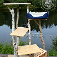 images/galeries-boutique/arbre-a-chats/02-arbre-chats.jpg